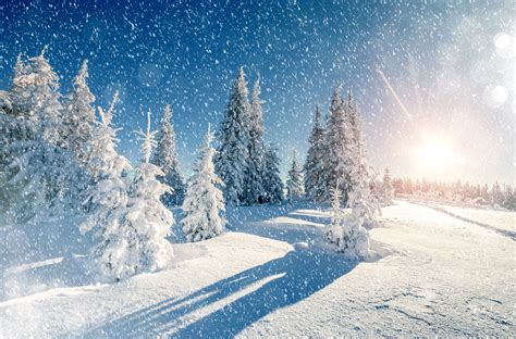 vinter definition